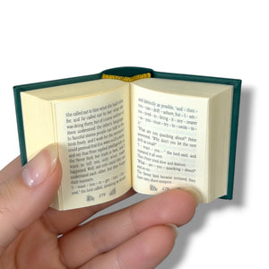 Miniature open book held between fingers on a white background Peter Pan