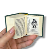 open book The Adventures of Huckleberry Finn