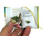 Comida Casera Peruana 2 Carnes y Aves mini book hardcover 430 pg w illustrations