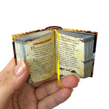 New Dinosaurios in spanish Legible Miniature Book hardcover with illustrations