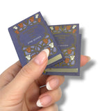 Hand holding two miniature books titled 'Mansfield Park' by Jane Austen against a white background.