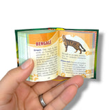 Todo Sobre los Gatos