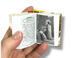 La Santa Biblia Ilustrada