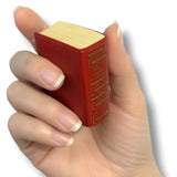 Hand holding a red rectangular object with text on a white background Lilliput Dictionary