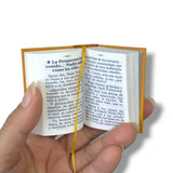 Hand holding a small open book with visible text on a white background