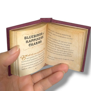 The Witches' Spell Book for Love Happiness and Success Hardcover gilded 176pgs