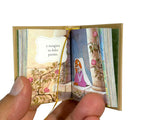 Robin Hood in Spanish Mini Book w/ slipcase hardcover 190 pag color illustrated