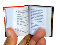 Verso un Risveglio in Italian hundreds thoughts mini book hardcover 430 pgs