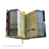New Dinosaurios in spanish Legible Miniature Book hardcover with illustrations
