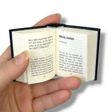Nathaniel Hawthorne Short Stories NUMBERED Limited