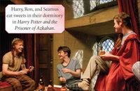 Harry Potter: Gryffindor